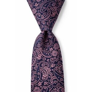 Zanetti Tie Mens Purple Blue Silk Paisley Designer Formal Preppy Classic